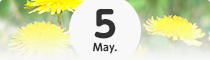 5月